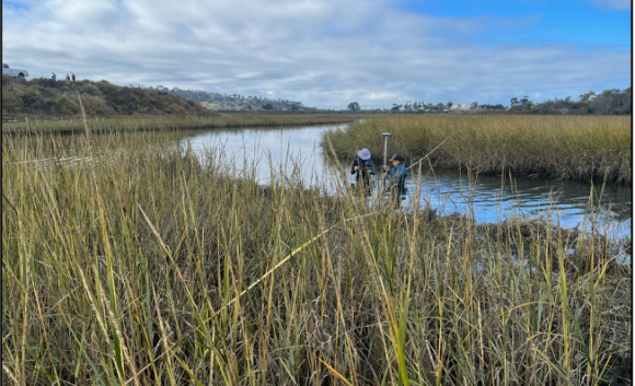 San Dieguito Wetland