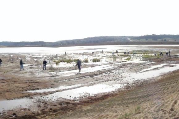 Crew planting plants